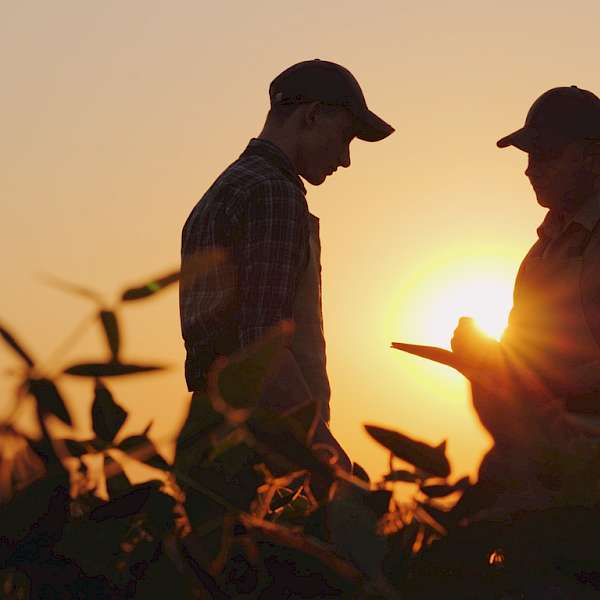 U.S. Farmers & Ranchers Alliance Helping Farmers Increase Sustainability