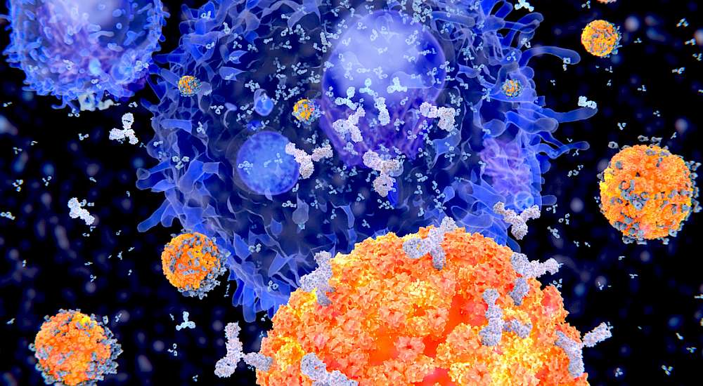 Shopping for Optimum Immune Health