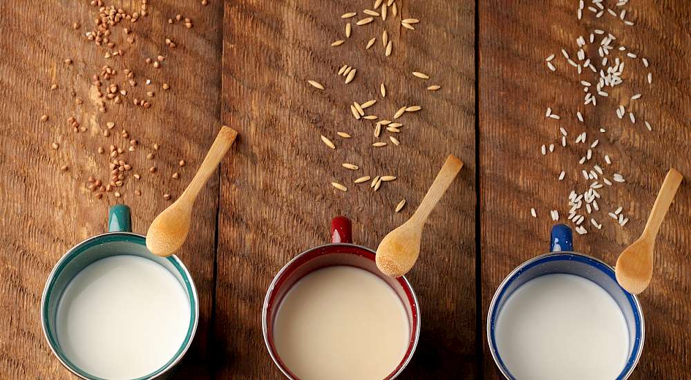 The Opportunities For Plant Based Dairy Alternatives