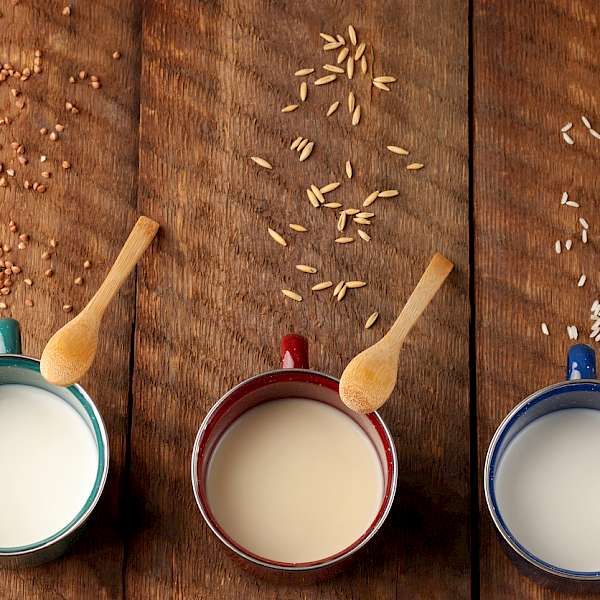 The Opportunities For Plant Based Dairy Alternatives