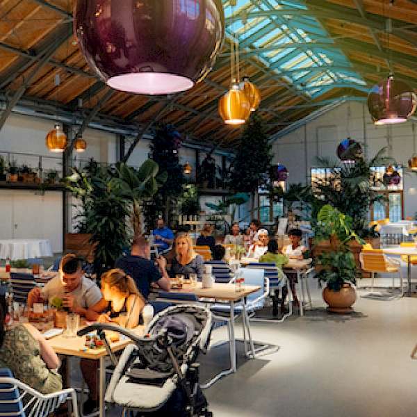 Mintel to Reveal Consumer Insights on Foodservice at Retail at NRA Show