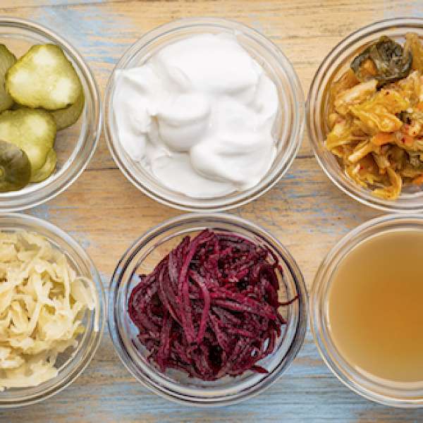 Probiotics 101: Not All Fermented Foods Are Created Equal