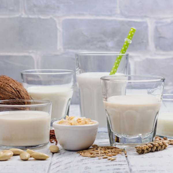 Plant-Based Milks You Need to Know