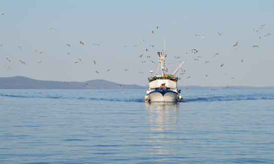 Climate Change Is Threatening Our Seafood Supply